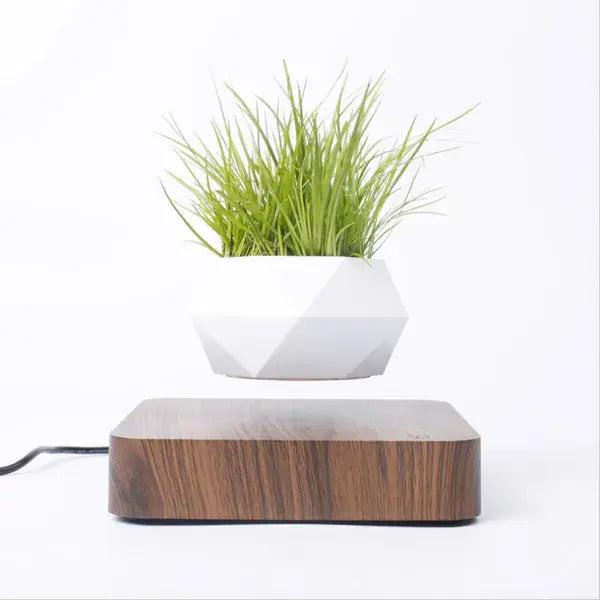 6iJQGpa5cYhTF7f.webp